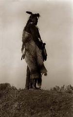 Crow Scout