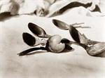 Indian Spoons