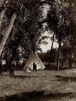 Tepee in a grove of trees.