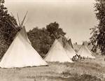 Assiniboin