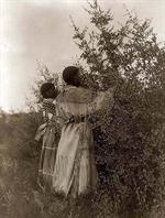 Indians Gathering Berries