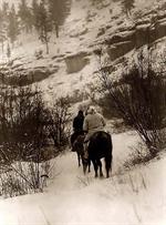 Crow Winter Hunters