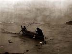 Two Quinault Indians in a canoe collecting fish from a net.
