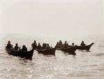 Four canoes on Shoalwater Bay