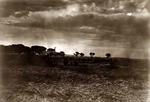 Navajo Farm