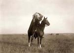 Sioux Chief on Horseback