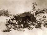 Winter Camp