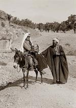 Young Woman on Donkey
