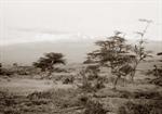Mt. Kenya. Late evening