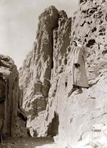 Arab of the Sinai