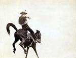 Cattle Drives