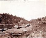 Dobbin's Mills