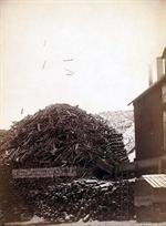 Wood Shooting from Saw Mill