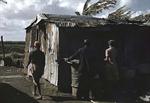 Migrant Farm Workers