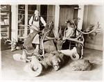 Taxidermist