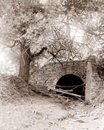 Bridge back of Pinnacles