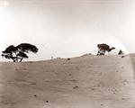 Wright Brothers Camp